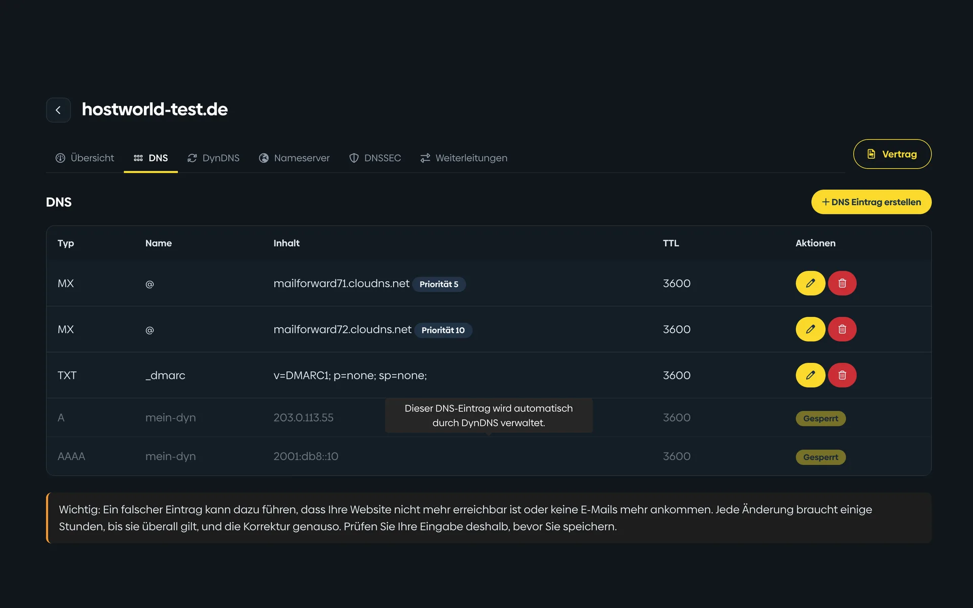 DNS management in the Customer Menu with a table of MX, TXT, A, and AAAA records including their validity period
