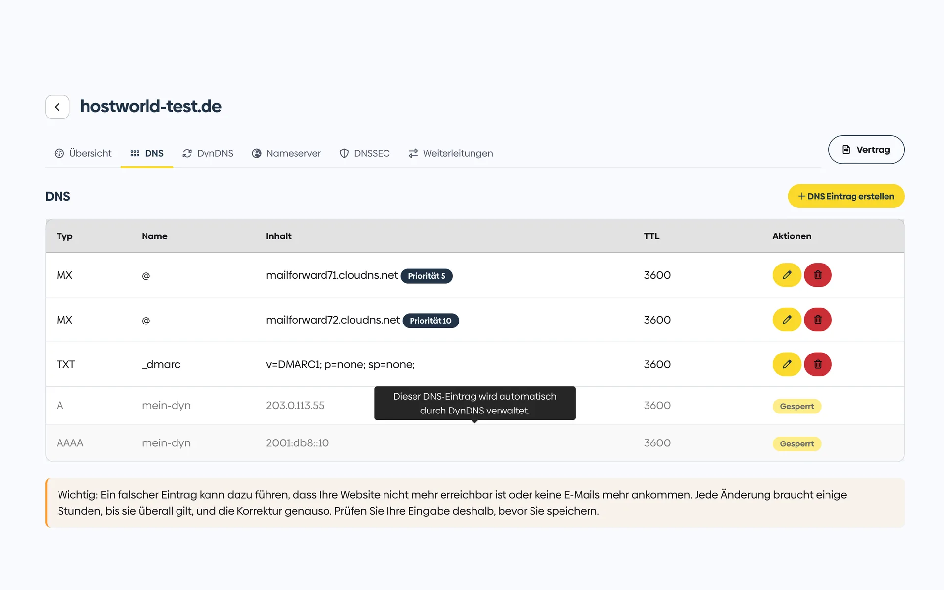 DNS management in the Customer Menu with a table of MX, TXT, A, and AAAA records including their validity period