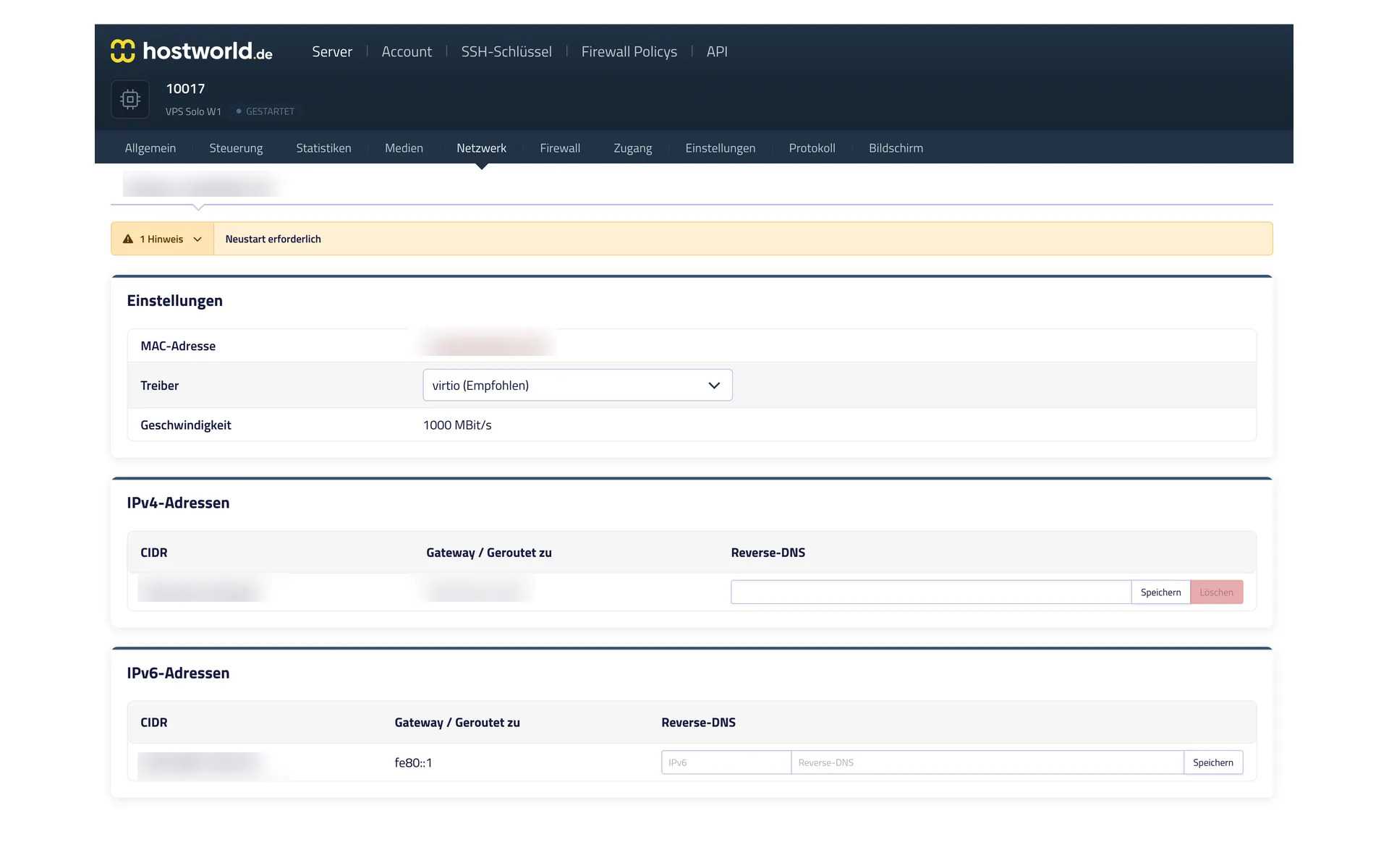 Network settings in the Server Control Panel with MAC address, driver selection, IPv4 address, and IPv6 prefix, including fields for reverse DNS