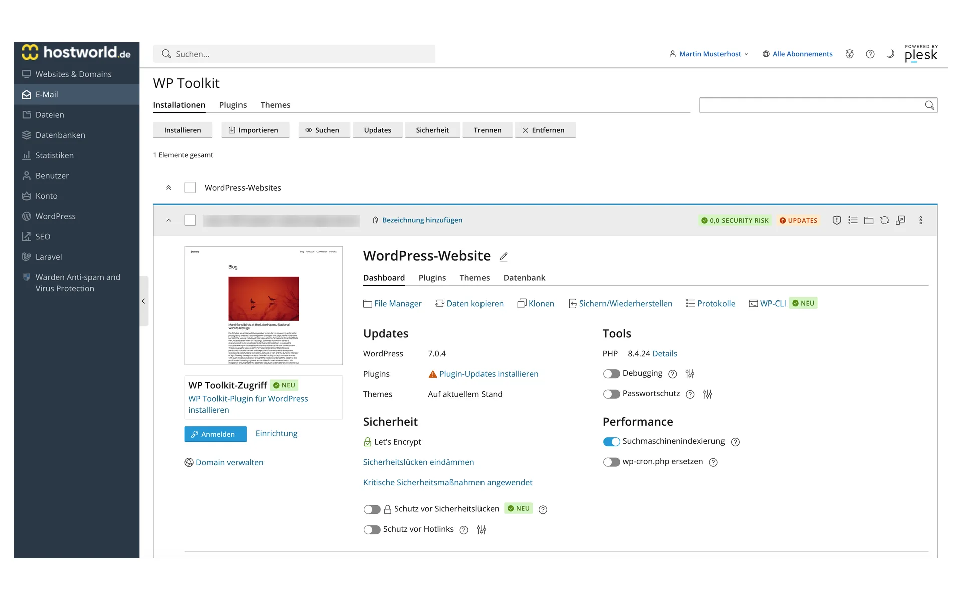 WP Toolkit with an installed WordPress website, updates, security status, the tools for cloning, backing up and restoring, and WP-CLI, plus the switches for search engine indexing and password protection